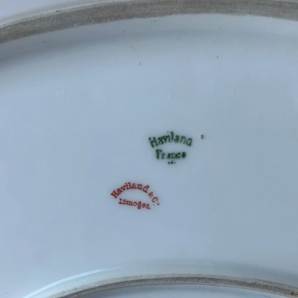 Haviland & Co. Limoges France Ranson Gold Trim w. Well Oval Serving Platter 16